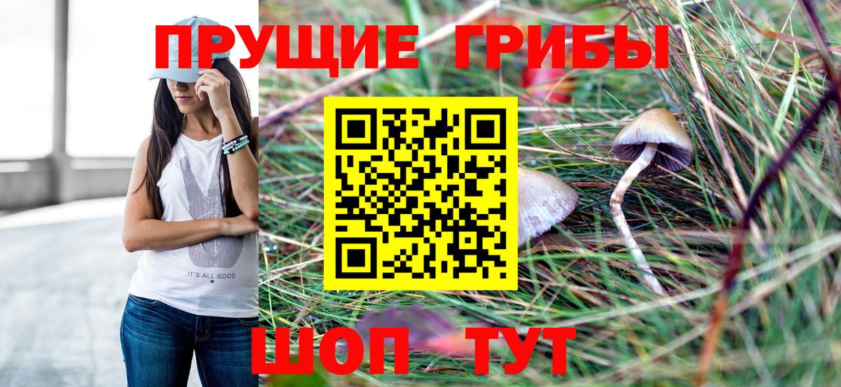 Псилоцибиновые грибы GOLDEN TEACHER Котельники