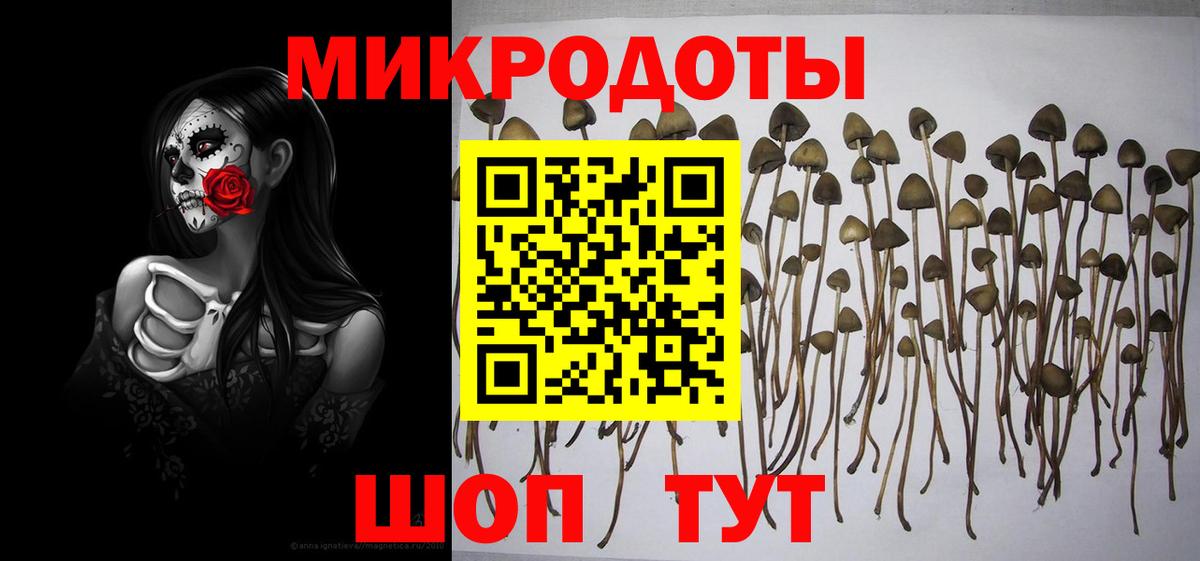 Псилоцибиновые грибы MAGIC MUSHROOMS  Вход с VPN  Котельники 